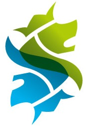 VLC emblem
